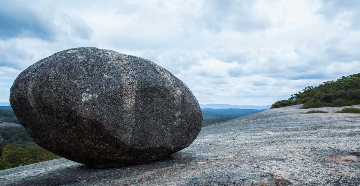 newLittle Rock tenterfield