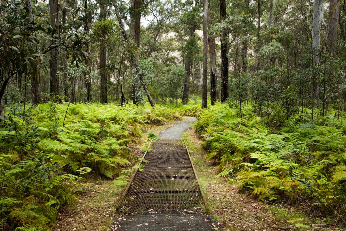 path tenterfield accommodation